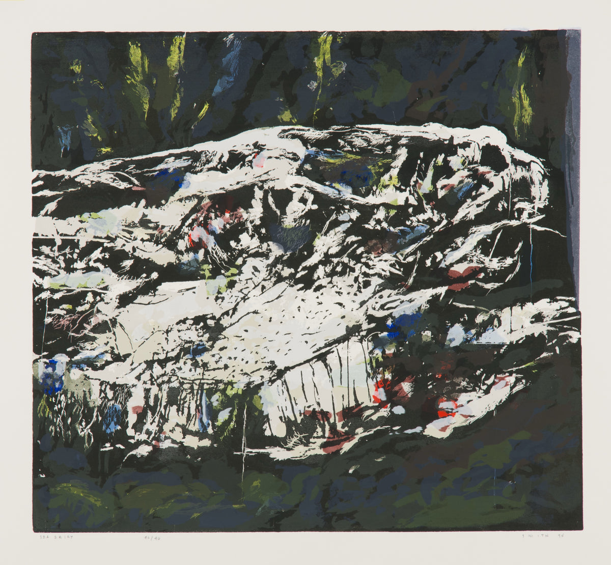Gordon Smith, Sea Drift, 1995