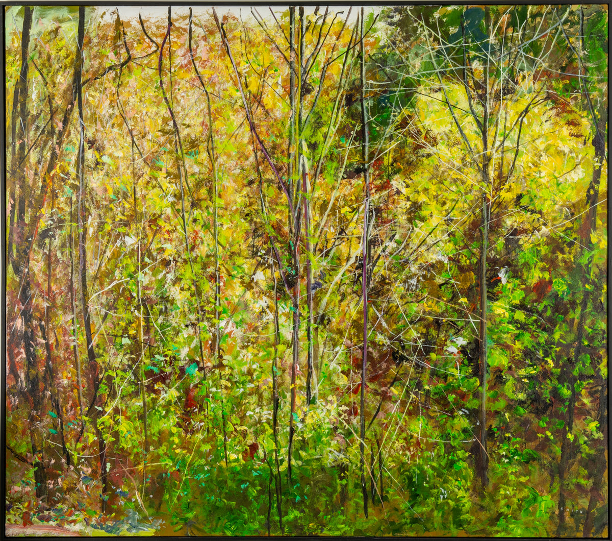 Gordon Smith, Kleinberg, 2010. Abstract image of forestry in a bright colour scheme of vary shades of brown and green.