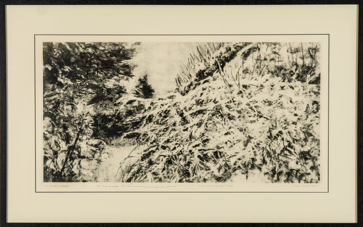 Gordon Smith, Winter Garden, 2002. Black and white greenery covered by the snow.