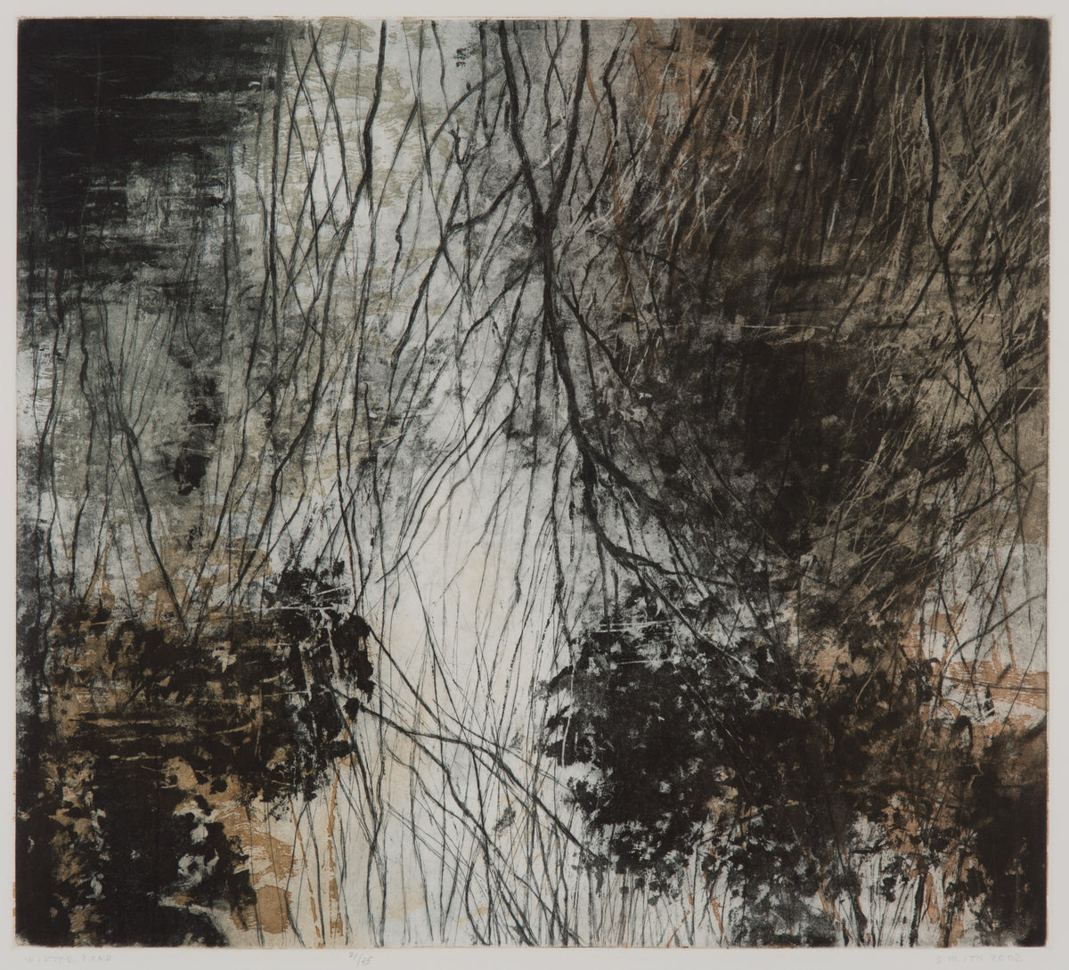 Gordon Smith, Winter Pond, 2002. Reflection of trees and other greenery on a pond in a muted colour scheme (black, white, grey, and sierra).