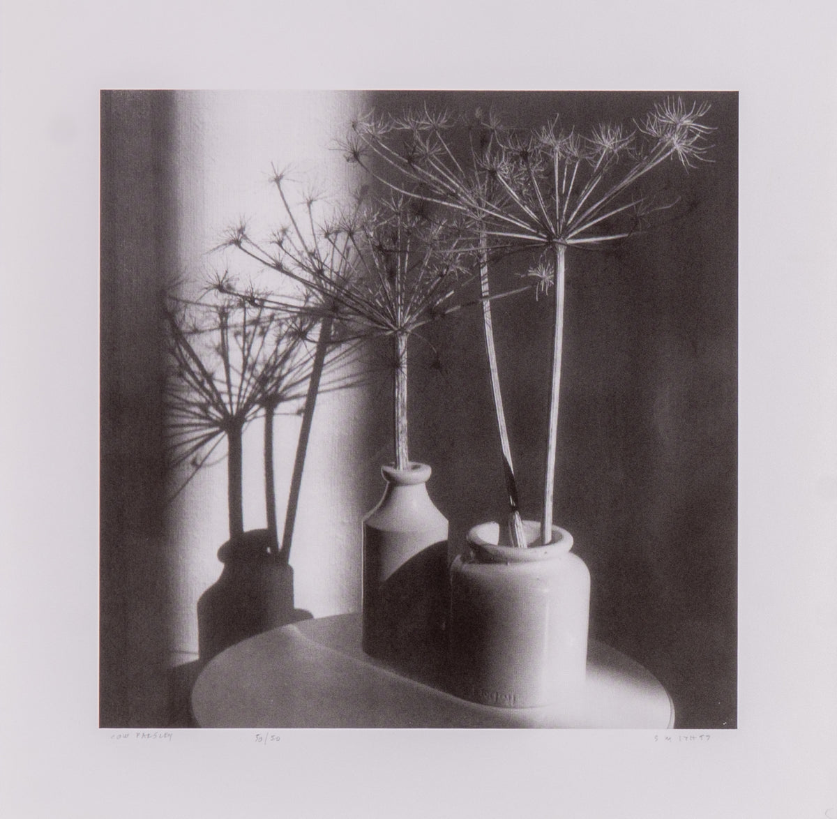 Gordon Smith, Cow Parsley, 1997