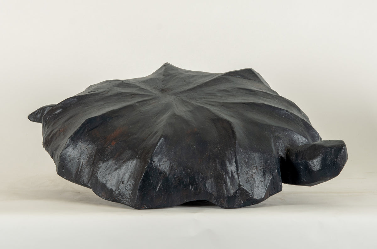 Charlene Vickers, Turtle Clan Searchers, 2010 View 2 of 2.