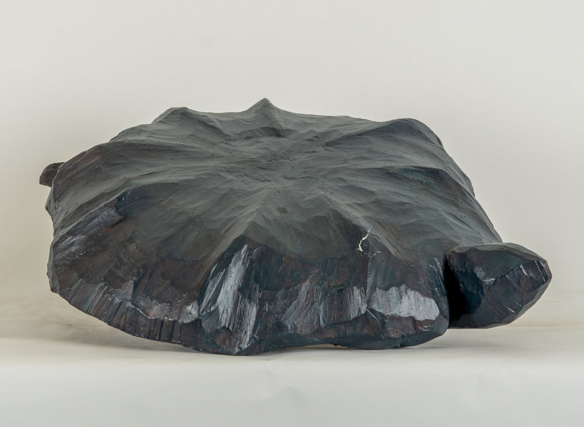 Charlene Vickers, Turtle Clan Searchers, 2010 View 1 of 2.