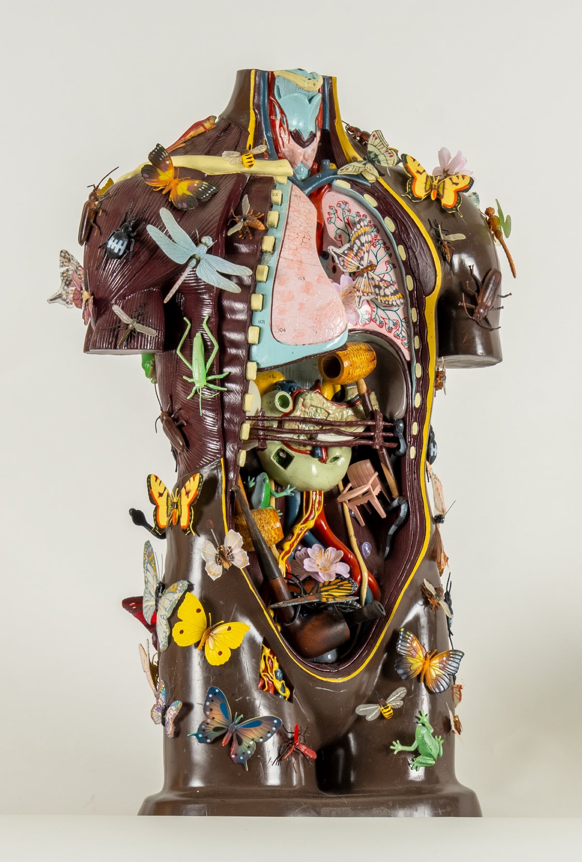 Vancouver School Collective, Butterfly Mariposa, 2006. An anatomically correct human torso with multiple object inside and outside, including plants and creatures. View 1 of 2.