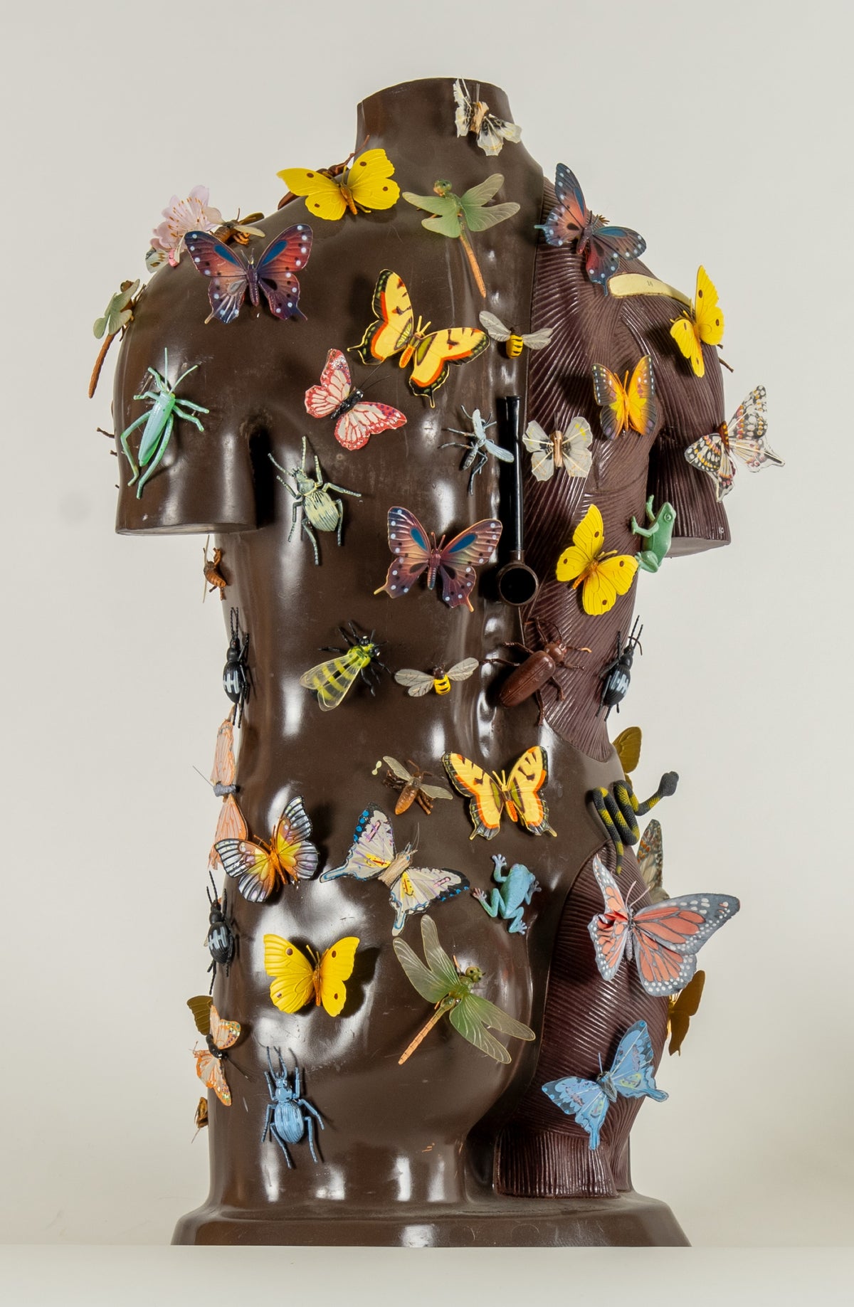 Vancouver School Collective, Butterfly Mariposa, 2006. An anatomically correct human torso with multiple object inside and outside, including plants and creatures. View 2 of 2.
