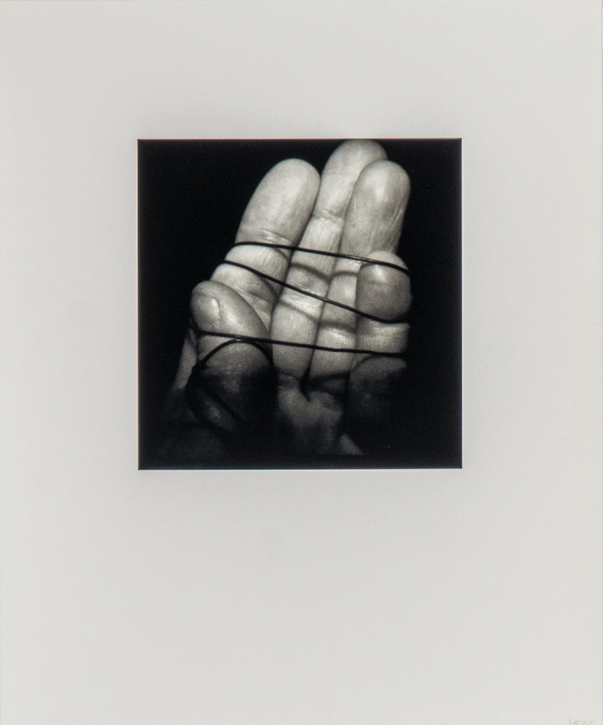 Irene F. Whittome, Self Portrait (Black & White Portfolio), 2004 View 5 of 11.