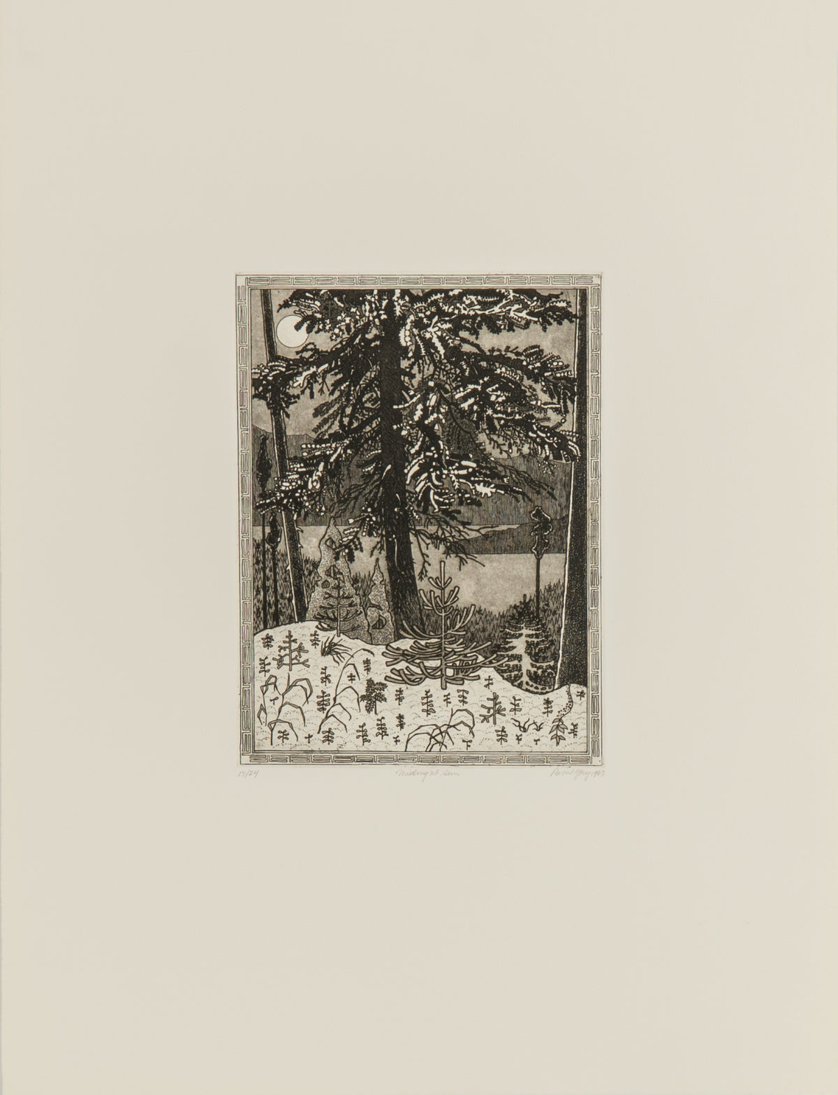 Robert Young, Midnight Sun, 1963