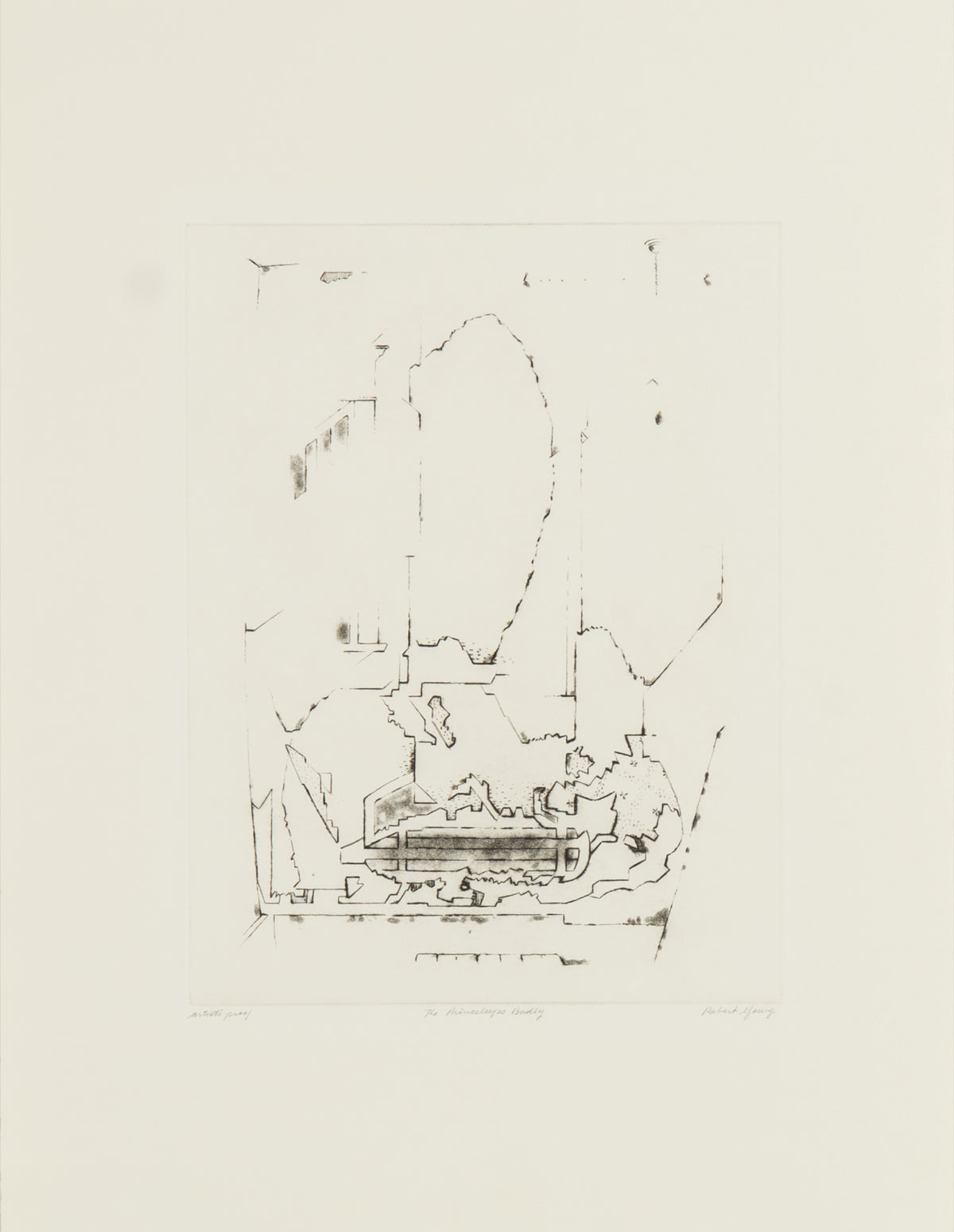 Robert Young, The Princeleeps Badly, 1981